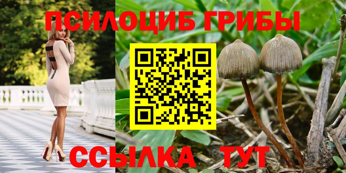 Галлюциногенные грибы GOLDEN TEACHER  Псилоцибиновые грибы прущие грибы  Вход с VPN  Коммунар 